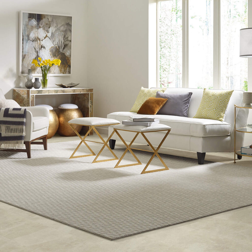 Perfect Area Rug | Color Interiors