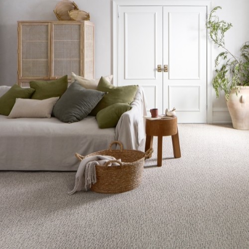 Carpet Flooring | Color Interiors