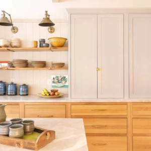 Kitchen Cabinets | Color Interiors