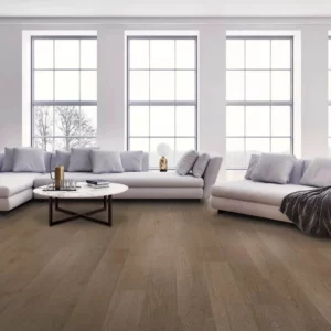 Living Room Laminate Flooring | Color Interiors