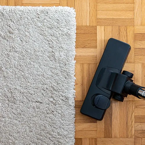 Area Rugs Care | Color Interiors