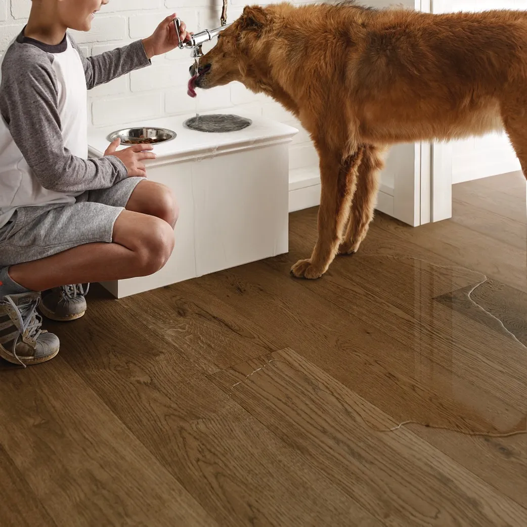 Waterproof hardwood flooring | Color Interiors