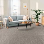 Carpet Flooring | Color Interiors