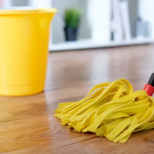 Vinyl Floor Cleaning | Color Interiors