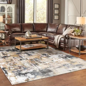 Living Room Area Rugs | Color Interiors