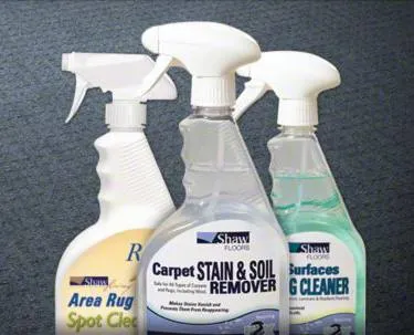 Floor Cleaning Supplies | Color Interiors