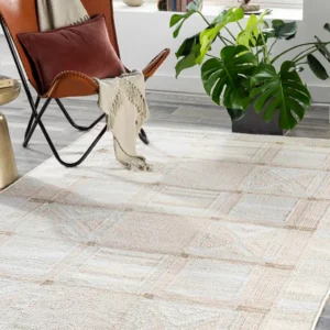 Area Rugs | Color Interiors