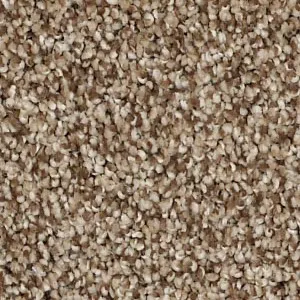 textured Carpet | Color Interiors