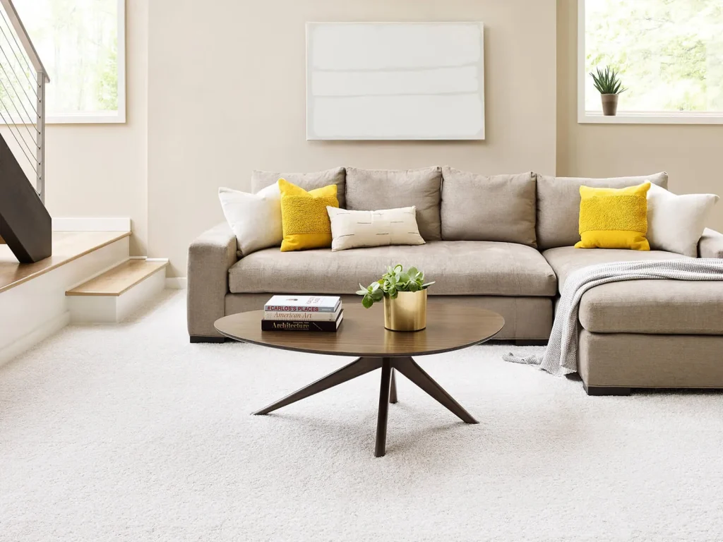 CarpetDiem 6E009 00101 Snowkissed H | Color Interiors Design Center