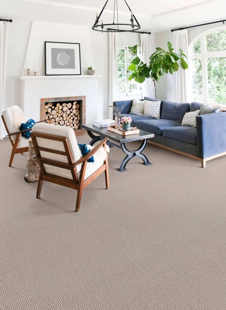 FeistyNet 5E620 00118 Birch RM V | Color Interiors Design Center