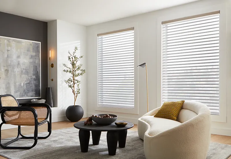 Window Treatments 04 | Color Interiors Design Center