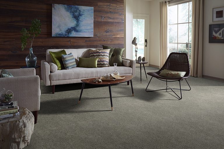 A Homeowner’s Practical Guide: Comparing Nylon and Polyester Carpet Performance