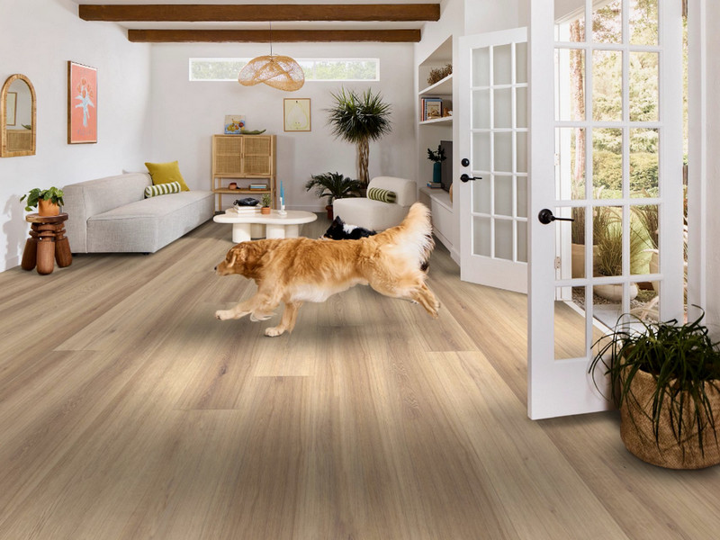 Pet-friendly luxury vinyl living room