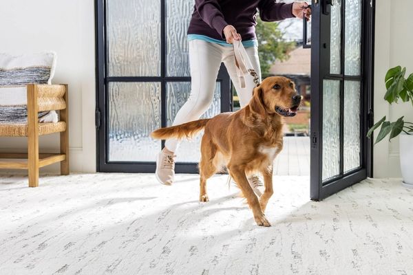 Shaw Pet Perfect carpet