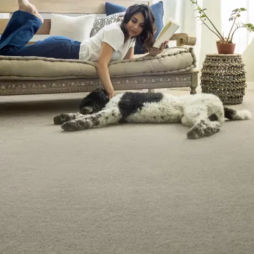 carpet-shaw Shaw carpet | Color Interiors