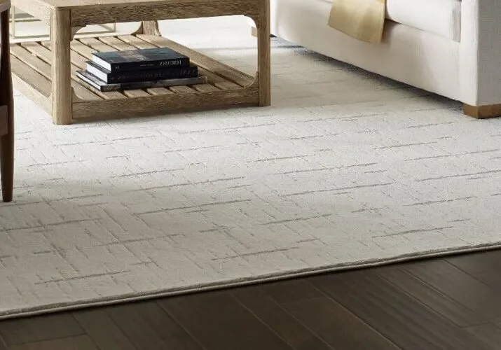 Area Rug | Color Interiors